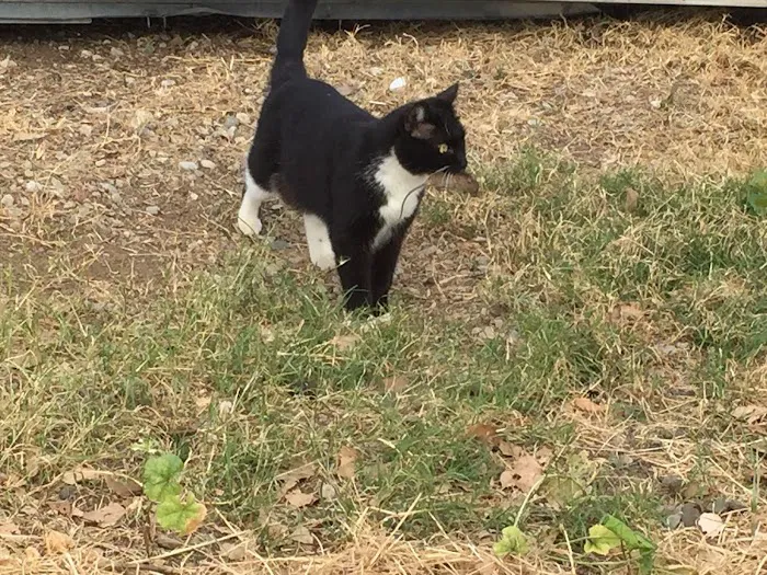Jefferson Veterinary Hospital 5