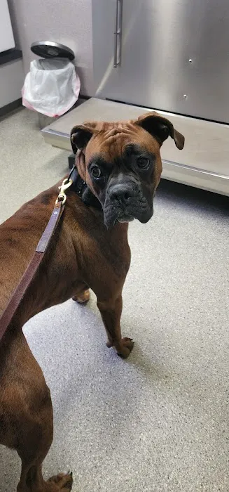 Jefferson Veterinary Hospital 4