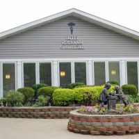 Valley Veterinary Service ico