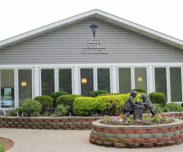 Valley Veterinary Service