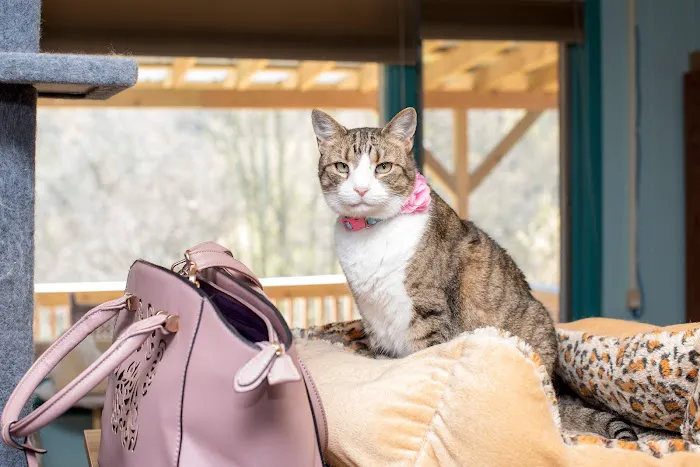 Valley Veterinary Service 10