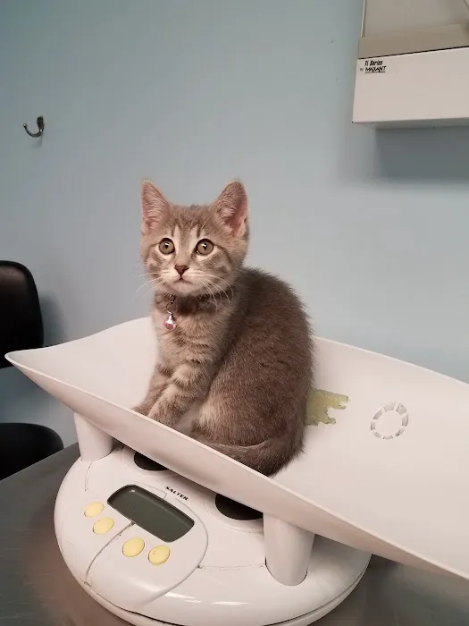 Munhall Veterinary Hospital 7