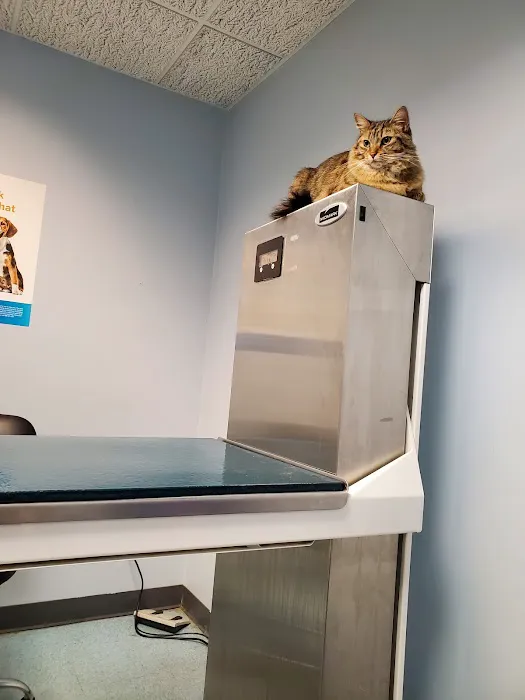 Munhall Veterinary Hospital 6