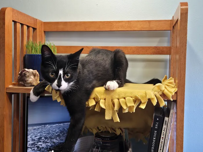 Munhall Veterinary Hospital 2
