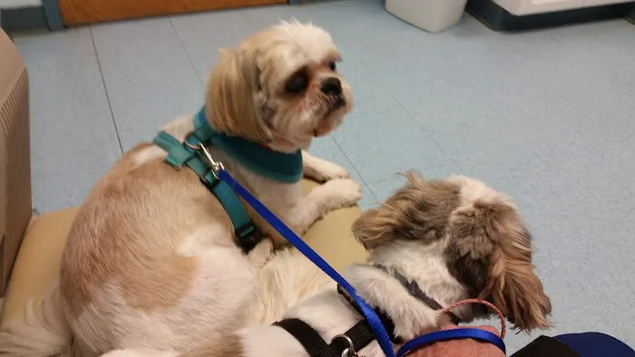 Munhall Veterinary Hospital 1