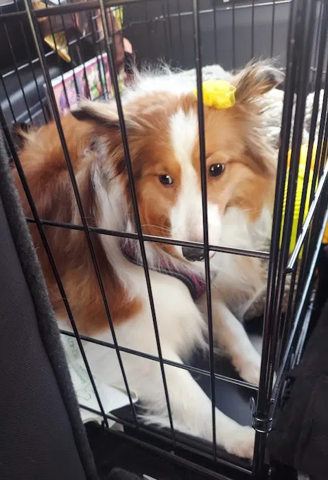 Banfield Pet Hospital 6