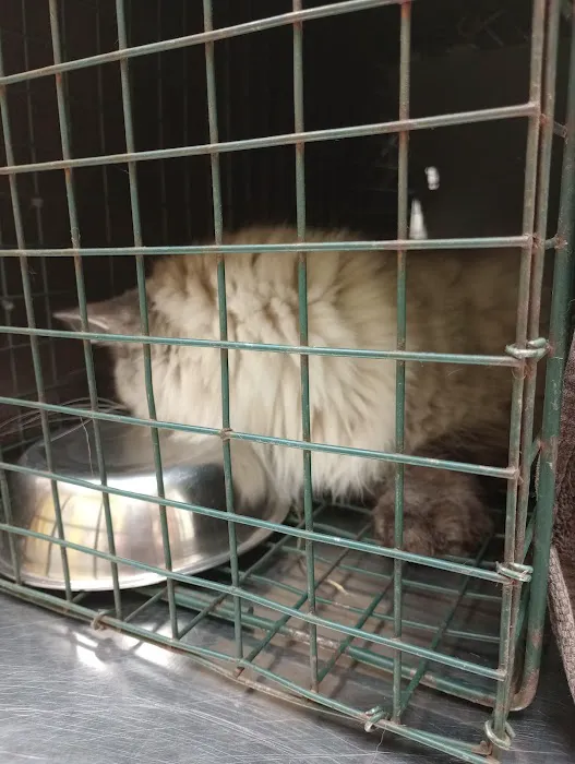Banfield Pet Hospital 5
