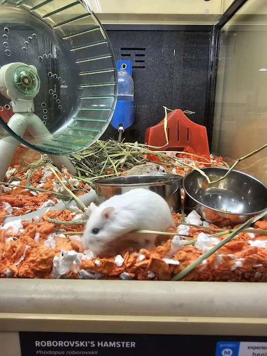 Banfield Pet Hospital 2