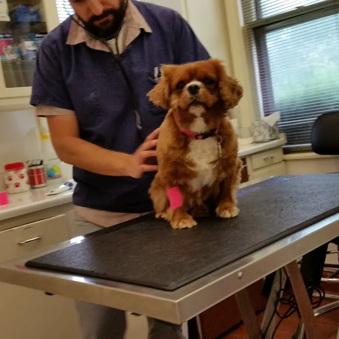 Werntz Memorial Animal Hospital 4