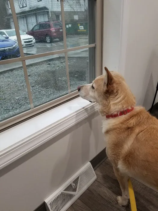 Werntz Memorial Animal Hospital 9