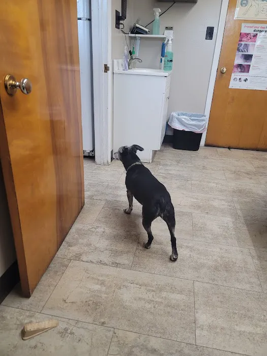 Titusville Veterinary Clinic 10