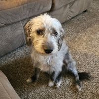 Marley Veterinary Clinic ico