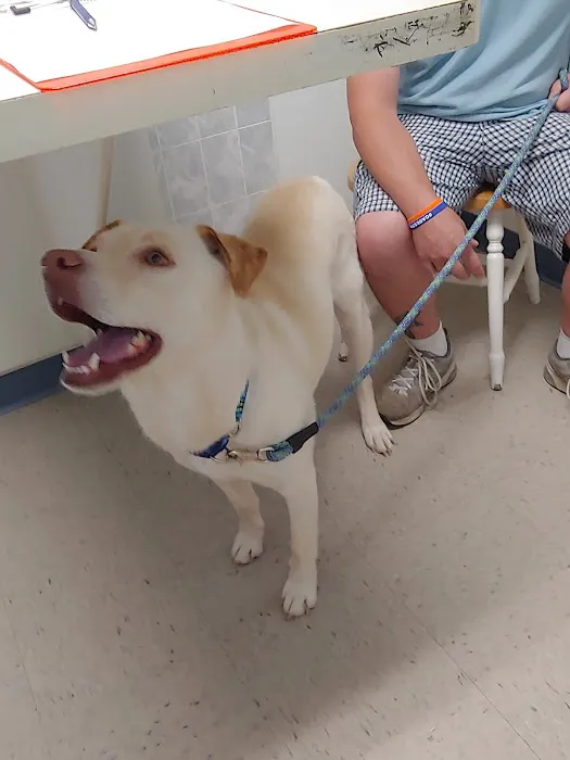 Marley Veterinary Clinic 10
