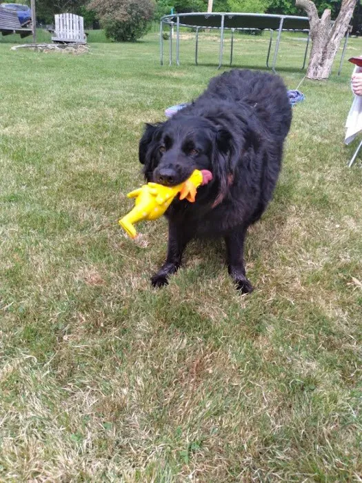 Marley Veterinary Clinic 6