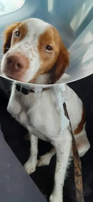 Marley Veterinary Clinic: Turner Amanda DVM 1