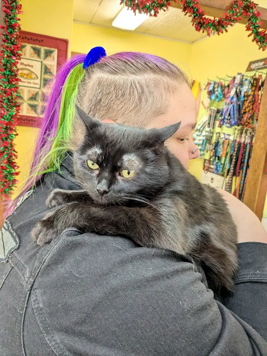 Marley Veterinary Clinic: Turner Amanda DVM 4