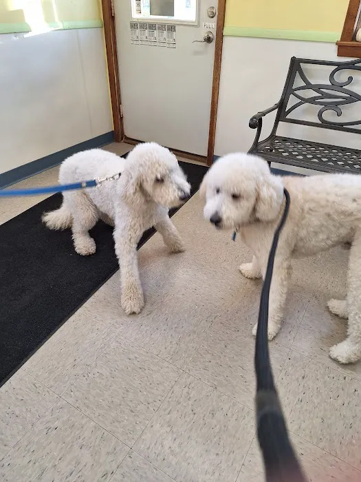 Marley Veterinary Clinic: Turner Amanda DVM 3