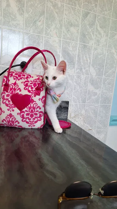 Marley Veterinary Clinic: Turner Amanda DVM 2