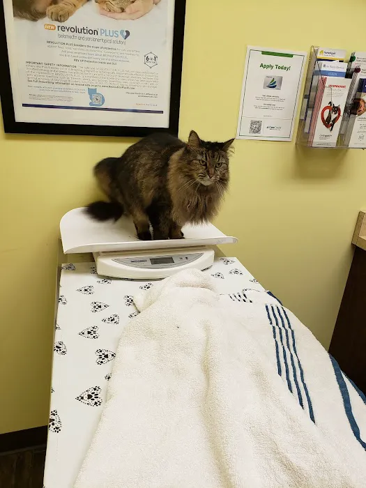 Sarver Animal Hospital 5