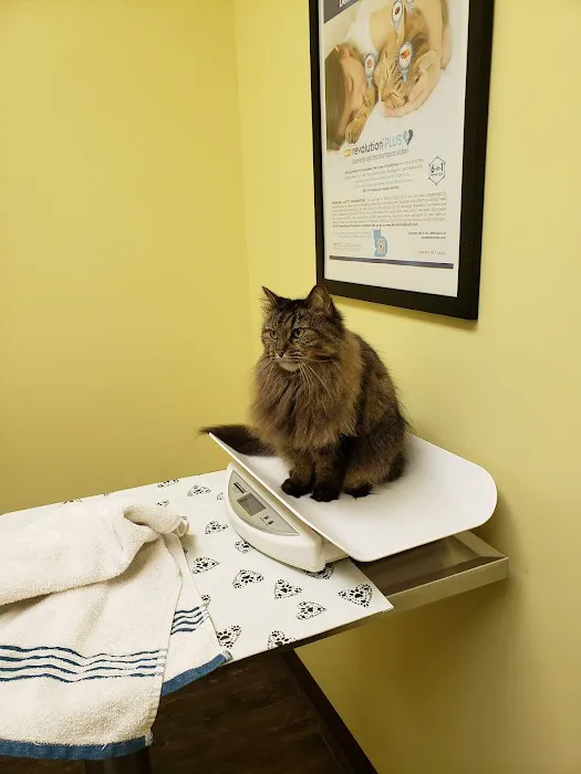 Sarver Animal Hospital 4