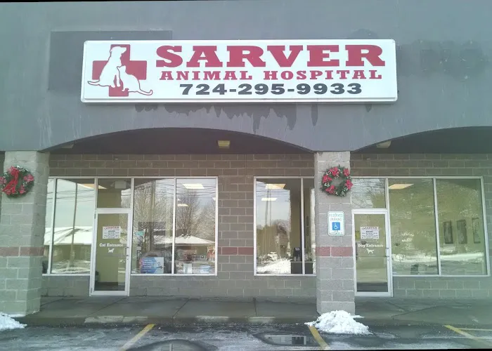 Sarver Animal Hospital: Nicole Milligan DVM 1