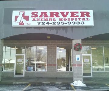 Sarver Animal Hospital: Nicole Milligan DVM