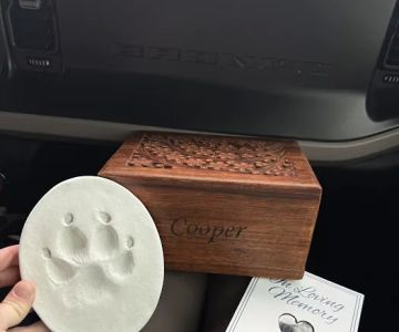 Northwest PA Pet Emergency Center