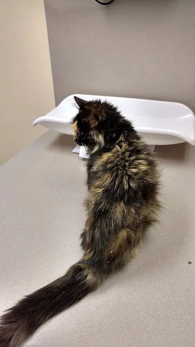 Twinbrook Veterinary Hospital 2