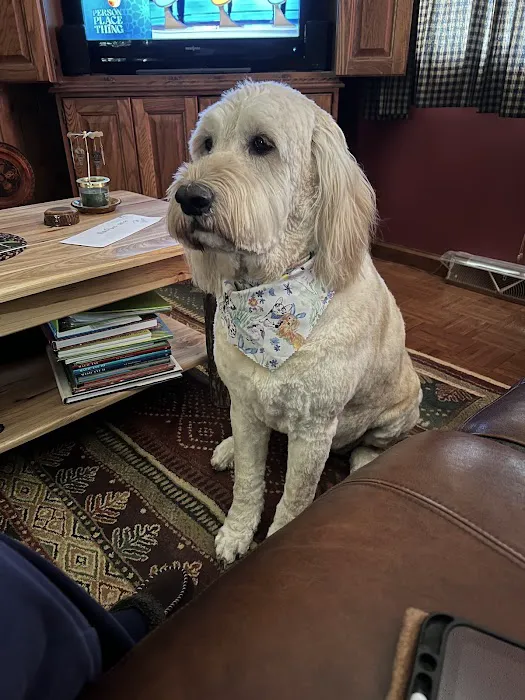 North East Animal Hospital 10