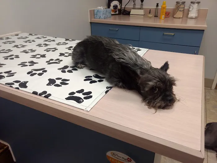 North East Animal Hospital 6