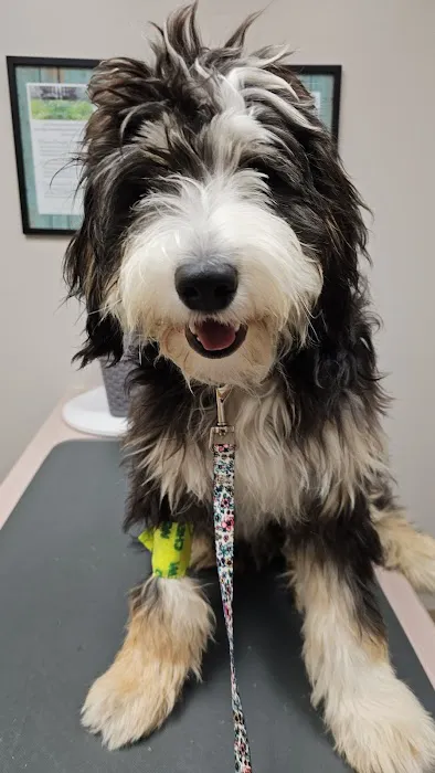 North East Animal Hospital 3