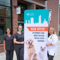 Skyline Animal Hospital ico