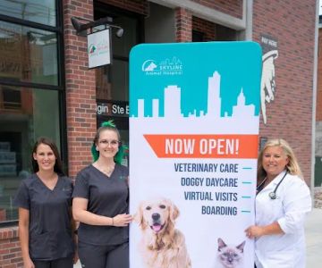 Skyline Animal Hospital