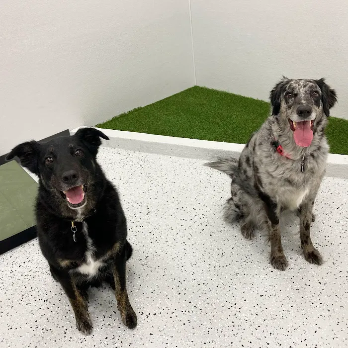 Skyline Animal Hospital 7