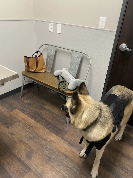 Skyline Animal Hospital 6