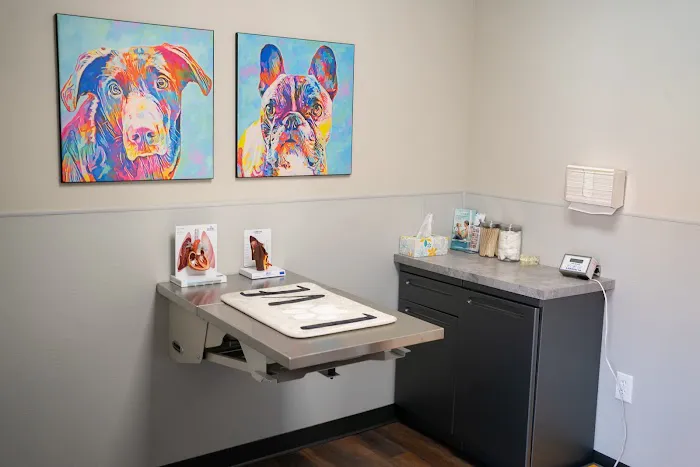 Skyline Animal Hospital 2