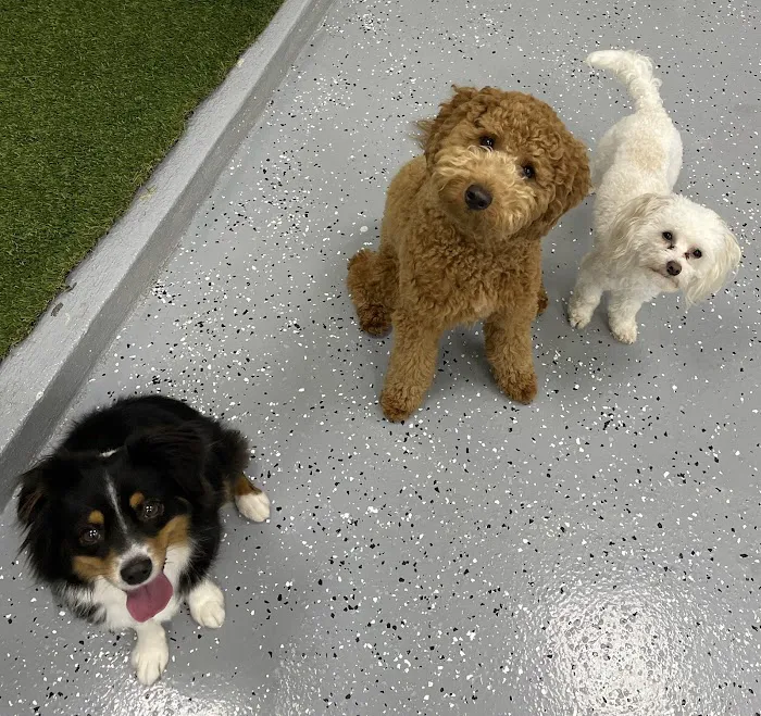 Skyline Animal Hospital 9