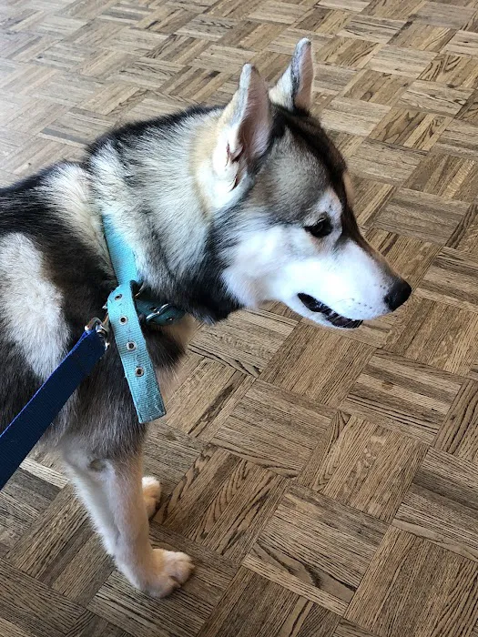 Pawsitive Veterinary Care 8