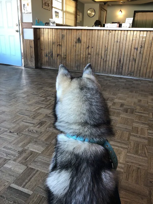 Pawsitive Veterinary Care 6