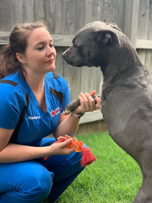 Animal Emergency Center of Tulsa 10