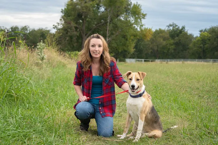 Alta Vista Animal Hospital & Pet Lodge 4