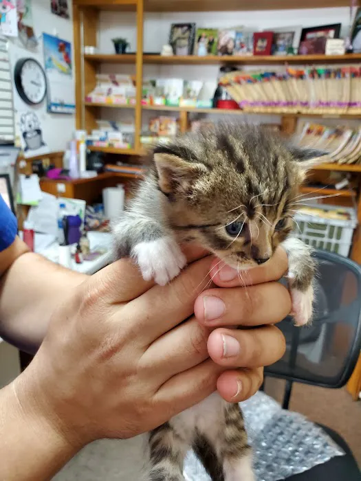 Jacox Animal Clinic 3