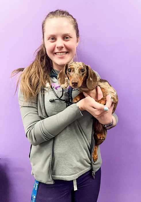 STATVet Animal Urgent Care at Cherry Street 1