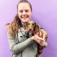 STATVet Animal Urgent Care at Cherry Street ico