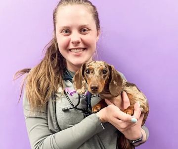 STATVet Animal Urgent Care at Cherry Street