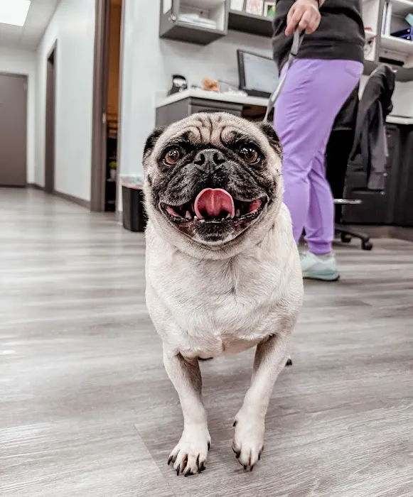 STATVet Animal Urgent Care at Cherry Street 5