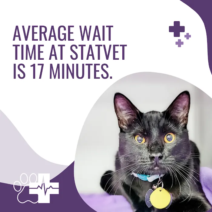 STATVet Animal Urgent Care at Cherry Street 10