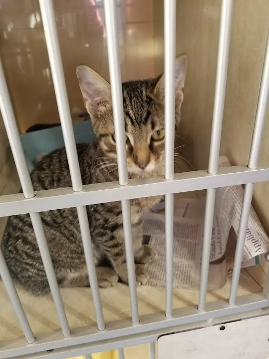 Ranch Acres Veterinary Hospital 1