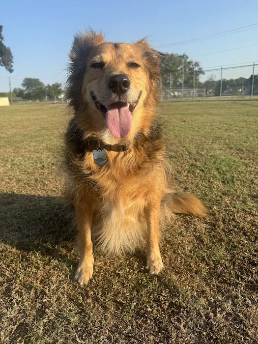 Ranch Acres Veterinary Hospital 7