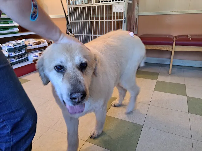 Ranch Acres Veterinary Hospital 2